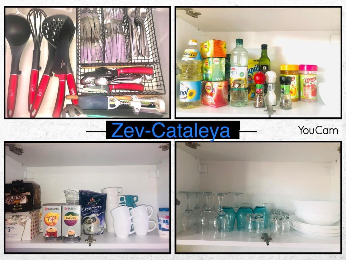 Zev- Cataleya Mamaia Nord Διαμέρισμα Năvodari Εξωτερικό φωτογραφία